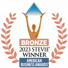 Bronze Stevie Award