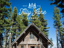 Blue Collar Agency - Tilly Jane Cabin