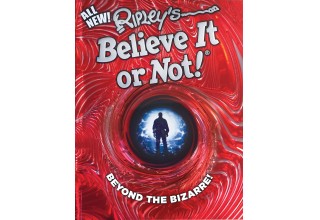 Beyond the Bizarre! 