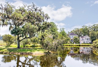 East Pond Rookery in Habersham, SC