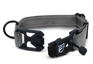 Smart Snap dog collar