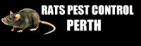 Rats Pest Control Perth