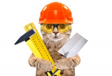 Cat Service, an msds service company