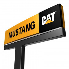 Mustang Cat