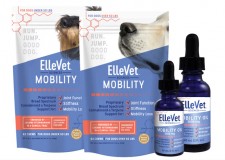 ElleVet Sciences