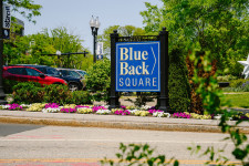 Blue Back Square