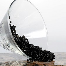 Osetra Caviar