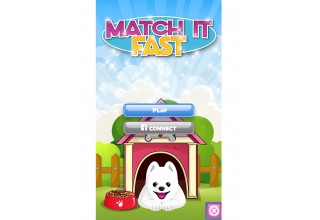 Match It Fast 