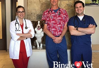 Bingle Vet Clinics Franchise