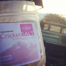 Cricket Flours Launches New Cricket Salt