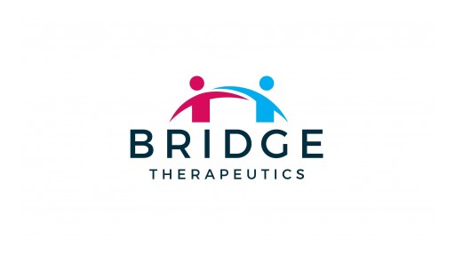 Pharmaceutical Startup, Bridge Therapeutics, Announces It is Funding a Mini-Documentary That Will Educate the Public on the Dangers of Opioids