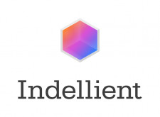 Indellient Logo