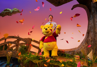 Disney's Winnie the Pooh