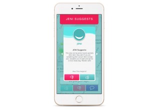 WanderSafe's Virtual Safety Companion JENI