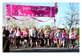 Paws Fur Pink Starting Line