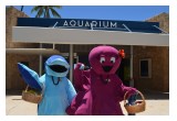 Diamond Bakery & Waikiki Aquarium Offer Snack Attack Zone For Pokémon Players