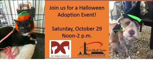 Keri Shull Team & DC Paws Rescue Host Halloween Pet Adoption Event