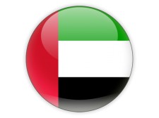 UAE flag