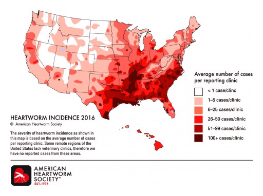 Deadly Heartworm Incidence Inching Upwards