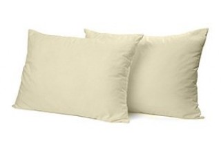 Organic Pillows