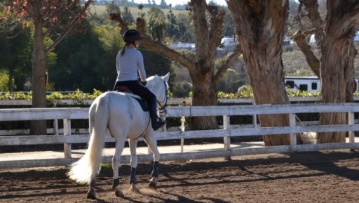 UK Equestrian Stabilizes Business With New Horse Boarding and Training Facility Thanks to $2.9 Million Loan From Capital Access Group