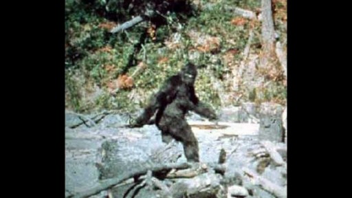 Bigfoot Finally Proved False