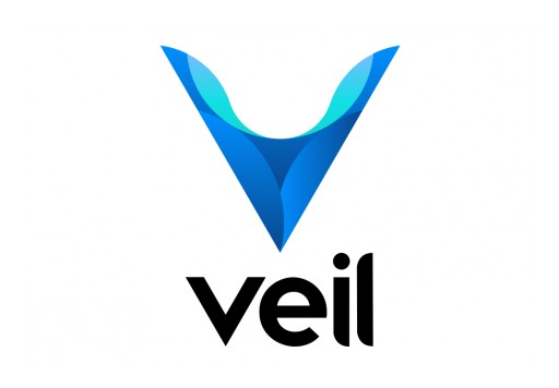 The Veil Project Cutting Edge Privacy Coin Launched Its MainNet