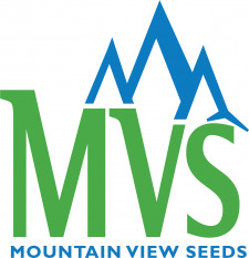 MVS logo