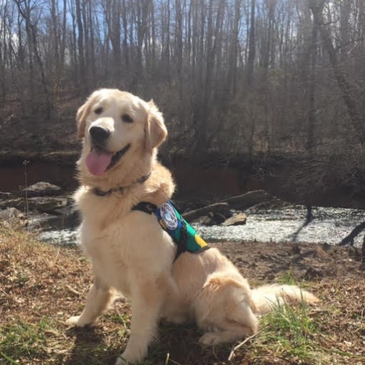 Service Dogs by Warren Retrievers Delivers "Amigo" to Child in Ocean Springs, MS