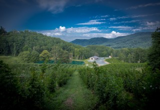 Bethel Valley Farms 