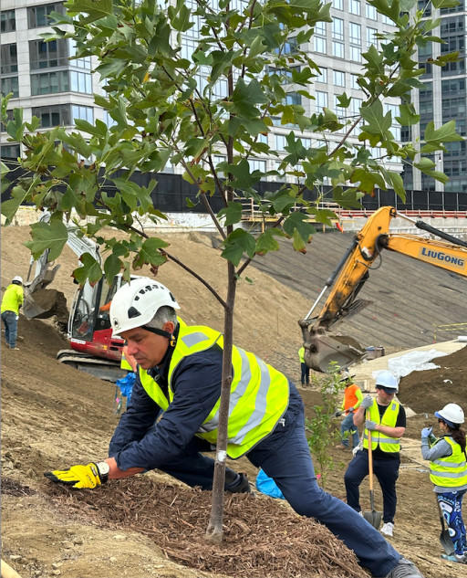 Jiffy Junk Celebrates Climate Week 2024 With Hands-on Tree Planting Initiative