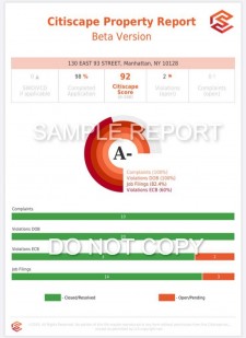 Citiscape Report and Grade