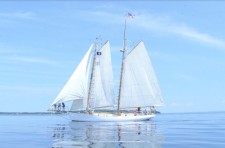 Perception Tall Ship