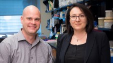 Gladstone scientists Katerina Akassoglou and Mark Petersen