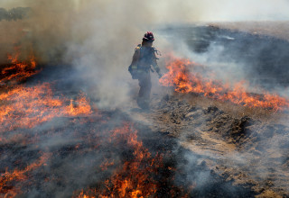 CAL FIRE Firefighter