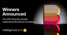 The 2023 Brandies Awards - Winners Announced