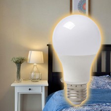 LED Light Bulb