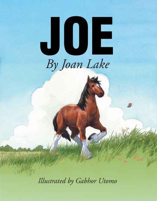 Joan Lake's New Book 'JOE' Brings a Poignant Tale of Courage, Self-Esteem, and Identity