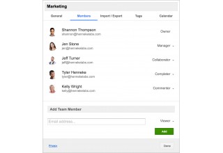 Team Member Roles