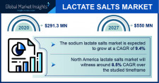 Lactate Salts Market Outlook - 2027
