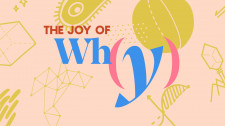 The Joy of Why