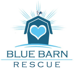 Blue Barn Rescue & Sanctuary