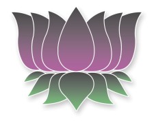 Purple Lotus Patient Center