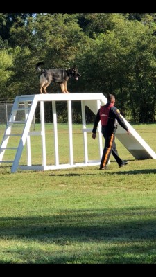 Mount Laurel Police K-9 Unit