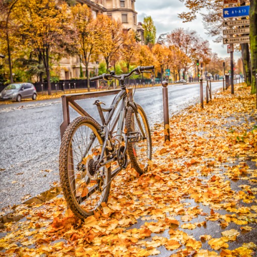 Autumn Interior Accents by Ukrainian Photographer Valeriy Tkachenko