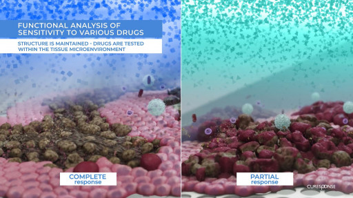 Rafael and Curesponse to Collaborate on Precision Oncology Platform