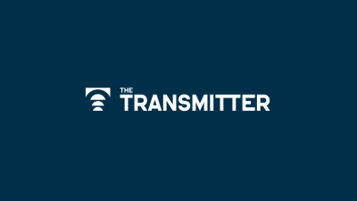 The Transmitter