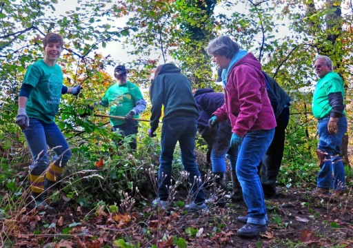 Greening Seattle's Kinnear Park on Make a Difference Day