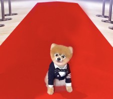 Bentley on the red carpet