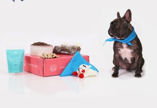 BarkChef Box w/ Free Treats, Toy & Bandana